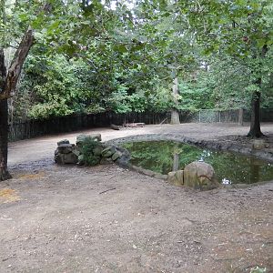 8/14/2016 - Pere David's Deer & White-naped Crane Habitat