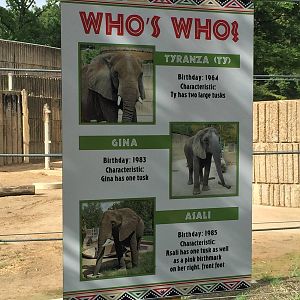 8/14/2016 - Elephant I.D. Sign