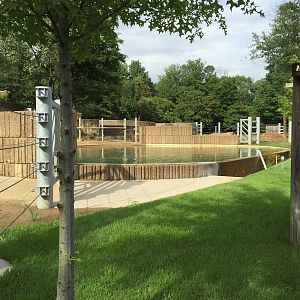 8/14/2016 - Elephant Pool