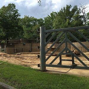 8/14/2016 - White Rhino Paddock