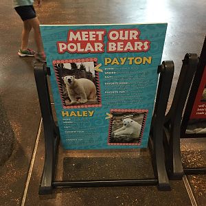 8/14/2016 - Polar Bear I.D. Sign