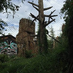 8/14/2016 - Bald Eagle & Raven Aviary