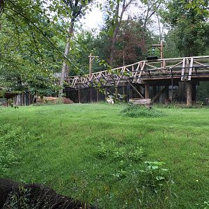 8/14/2016 - Gray Wolf Habitat