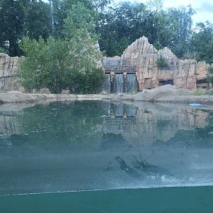 8/14/2016 - Grizzly Bear Habitat