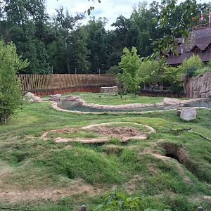 8/14/2016 - Grizzly Bear Habitat