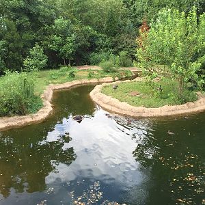 8/14/2016 - Waterfowl Pond