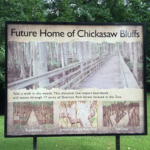 8/14/2016 - Chickasaw Bluffs Info Sign