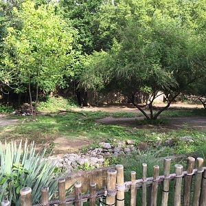 8/14/2016 - Bontebok Exhibit