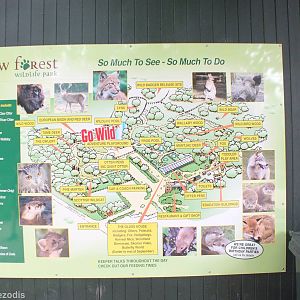 Zoo Map