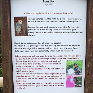 Barn Owl Sign