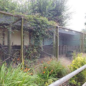 Owl Enclosures