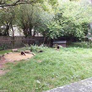 North American River Otter Outdoor Enclosure