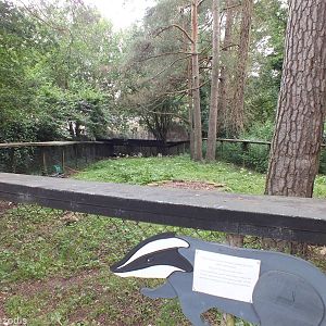 Badger Outdoor Enclosure