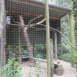 Great Grey Owl Enclosure