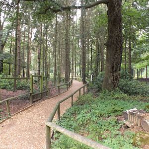 Pathway Around Wolf Area