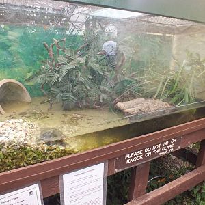 Mississippi Map Turtle Enclosure