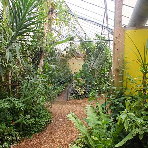 View In Butterfly House