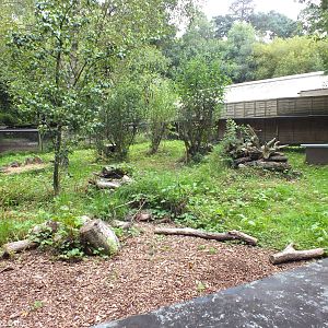 Eurasian Otter Enclosure