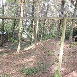 Lynx Enclosure