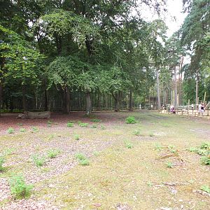 Walkthrough Deer Enclosure