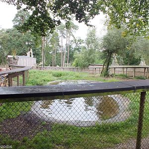 GIant Otter Enclosure