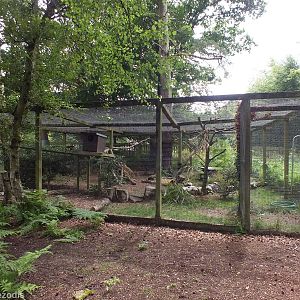 One of Several Scottish Wildcat Enclosures