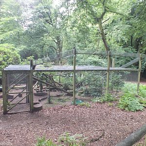 Pine Marten Enclosure