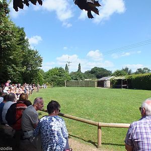 View of Flight Show Lawn