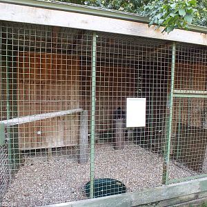 Turkey Vulture Enclosure