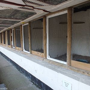 Cages for Smaller Owls