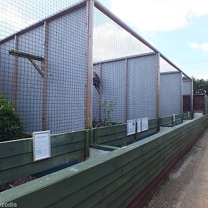 Some of the Aviaries for Owls and Hawks