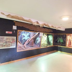Part of Reptile House
