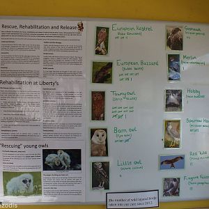 Number of Rehabilitated Birds of Prey Sign