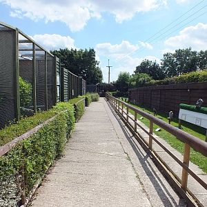 View of Pathway with Aviaries on Left and Perches on Right