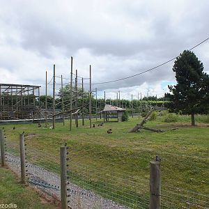 Gelada Enclosure
