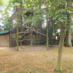 Banded Leaf Monkey Enclosure