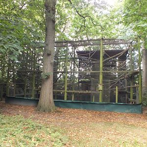 Moloch Gibbon Enclosure