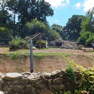 Snow Leopard Enclosure