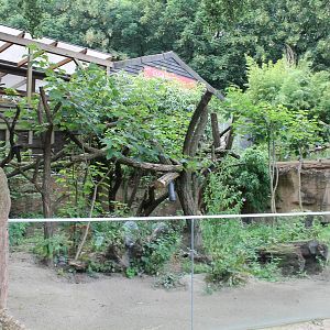 Wombat enclosure