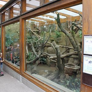 Enclosure Brush-tailed kangaroo - Tree kangaroo and Echidna