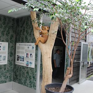 Entrance Koala House
