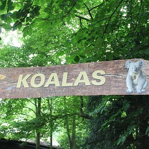 Sign Koala