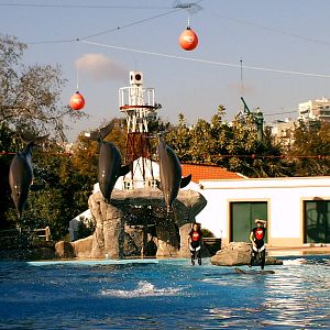 Lisboa Zoo: circa 2008