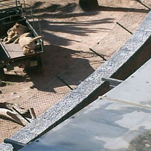 Lisboa Zoo: circa 2008