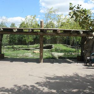 Sep. 2016 - Africa - First Painted Dog Viewing