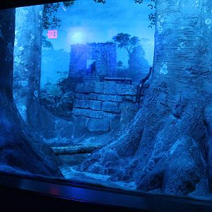 Sep. 2016 - Night Hunters - Ocelot Exhibit 2