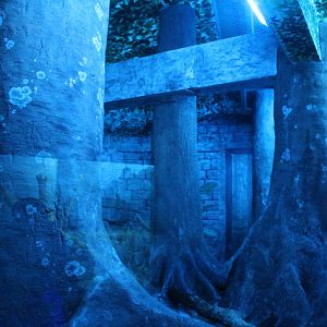 Sep. 2016 - Night Hunters - Ocelot Exhibit 3