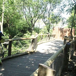 Sep. 2016 - New Fencing at White Lions