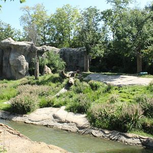Sep. 2016 - Africa - Lion Exhibit