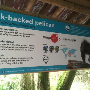 Twycross Zoo - 28/8/16